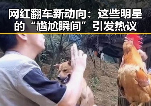 网红翻车新动向：这些明星的“尴尬瞬间”引发热议