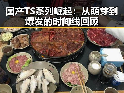 国产TS系列崛起：从萌芽到爆发的时间线回顾