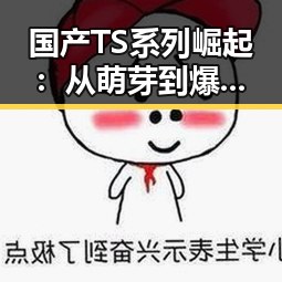 国产TS系列崛起：从萌芽到爆发的时间线回顾