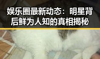 娱乐圈最新动态：明星背后鲜为人知的真相揭秘