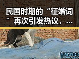 民国时期的“征婚词”再次引发热议，才子佳人的浪漫传说是真的假的？